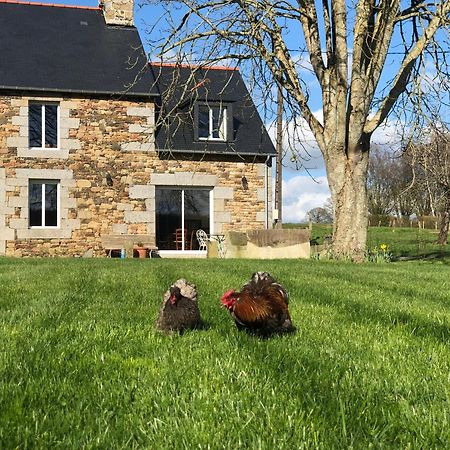 Maison Chic Proche Du Mont Saint Michel Marcilly  エクステリア 写真