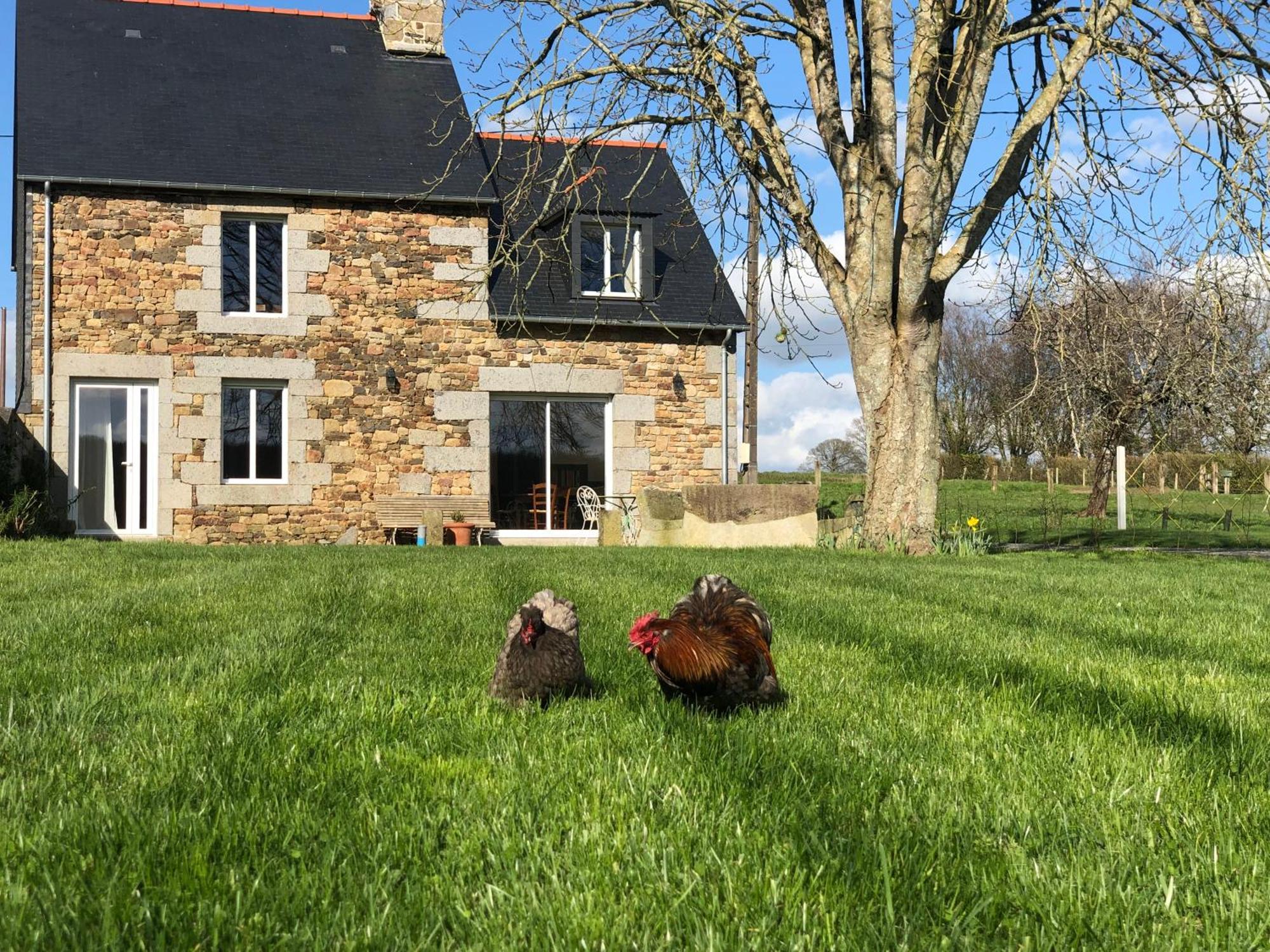 Maison Chic Proche Du Mont Saint Michel Marcilly  エクステリア 写真